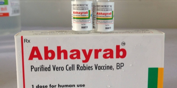 Đánh giá tính an toàn và sinh miễn dịch của việc áp dụng phác đồ tiêm trong da vắc xin dại tế bào Abhayrab TM trên người Việt Nam tình nguyện