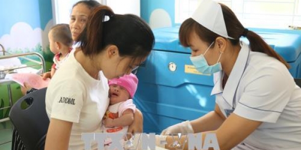Đánh giá tính an toàn của vắc xin Quinvaxem inj (DTwP – HepB – Hib) phòng các bệnh bạch hầu, ho gà, uốn ván, viêm gan B và bệnh do Hib trên trẻ em Việt Nam khỏe mạnh
