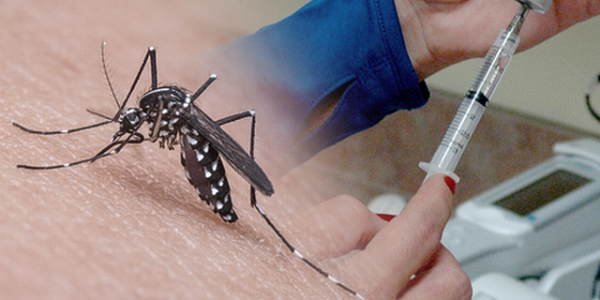 Đánh giá tính sinh miễn dịch và độ an toàn của vắc xin của vắc xin sốt xuất huyết Dengue bốn tuýt ChimeriVaxTM trên các đối tượng khỏe mạnh ở đối tượng  từ 2 đến 45 tại Việt Nam (CYD22)